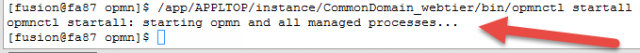 Oracle Fusion: CommonDomain_webtier is not starting up and giving error